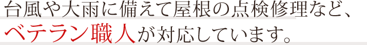 台風や大雨に備えて屋根の点検修理など、ベテラン職人が対応しています。